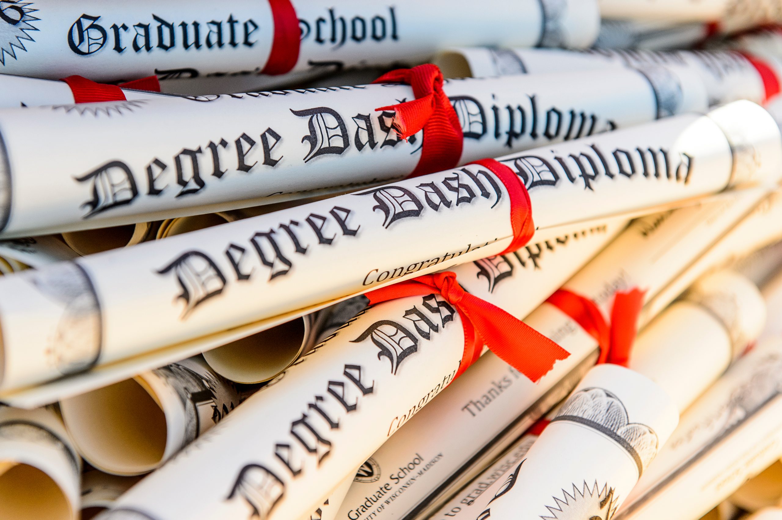 Stack of rolled up degree diplomas each tied with a red ribbon into a scroll